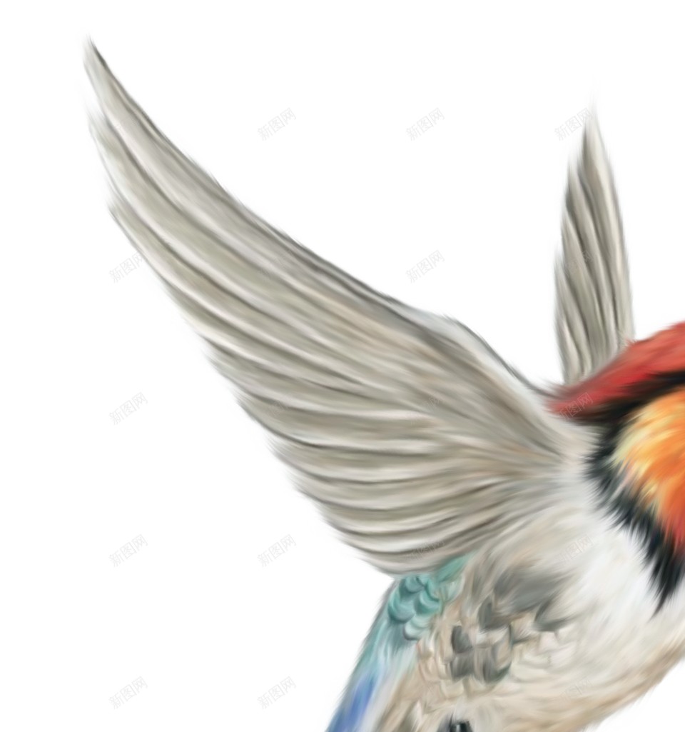 飞鸟的插图png免抠素材_新图网 https://ixintu.com 飞禽图画 空气背景 绘画 飞行 飞翔 鸟类插图 鸟飞背景 燕子 飞鸟