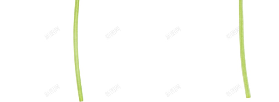 三叶草车轴草png免抠素材_新图网 https://ixintu.com 三叶草 车轴草