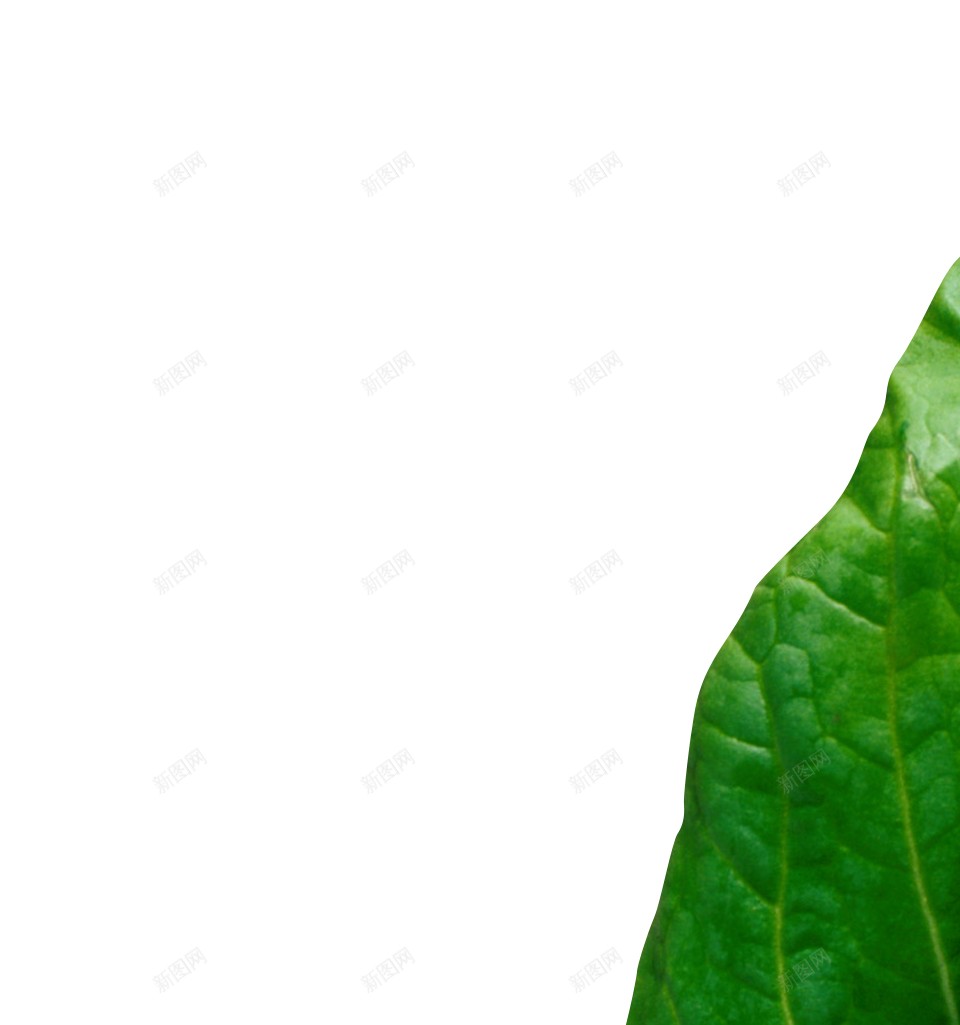 蔬菜色拉蔬菜沙拉png免抠素材_新图网 https://ixintu.com 减肥餐 蔬菜沙拉 蔬菜色拉