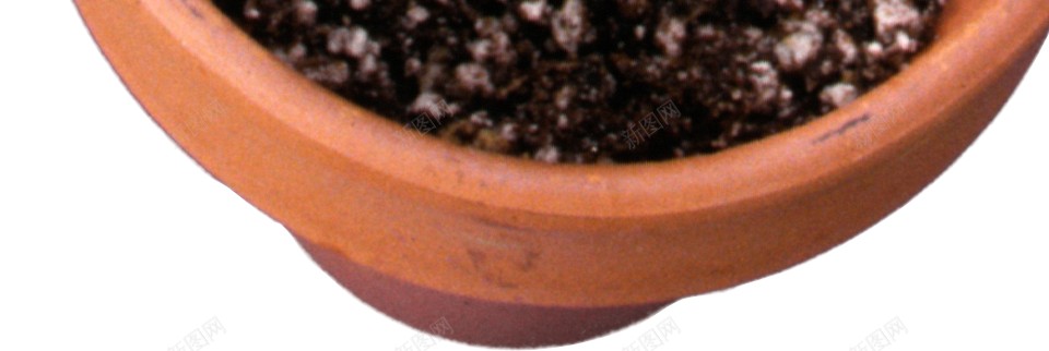 仙人掌科植物仙人掌png免抠素材_新图网 https://ixintu.com 仙人掌 仙人掌科植物