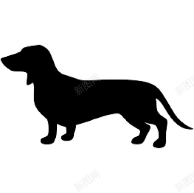 猎獾狗腊肠狗png免抠素材_新图网 https://ixintu.com 猎獾狗腊肠狗
