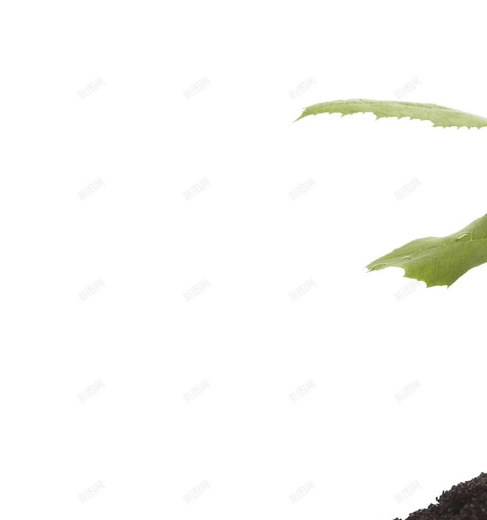 土壤国土png免抠素材_新图网 https://ixintu.com 国土 土壤