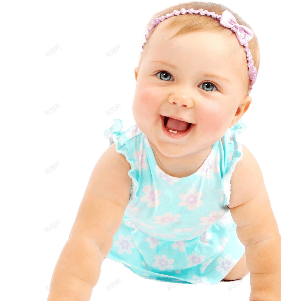 婴儿动物幼崽png免抠素材_新图网 https://ixintu.com 动物幼崽 婴儿
