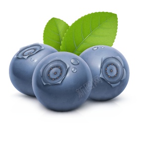 越橘蓝色浆果蓝莓blueberry的复数png免抠素材_新图网 https://ixintu.com blueberry的复数 越橘蓝色浆果蓝莓