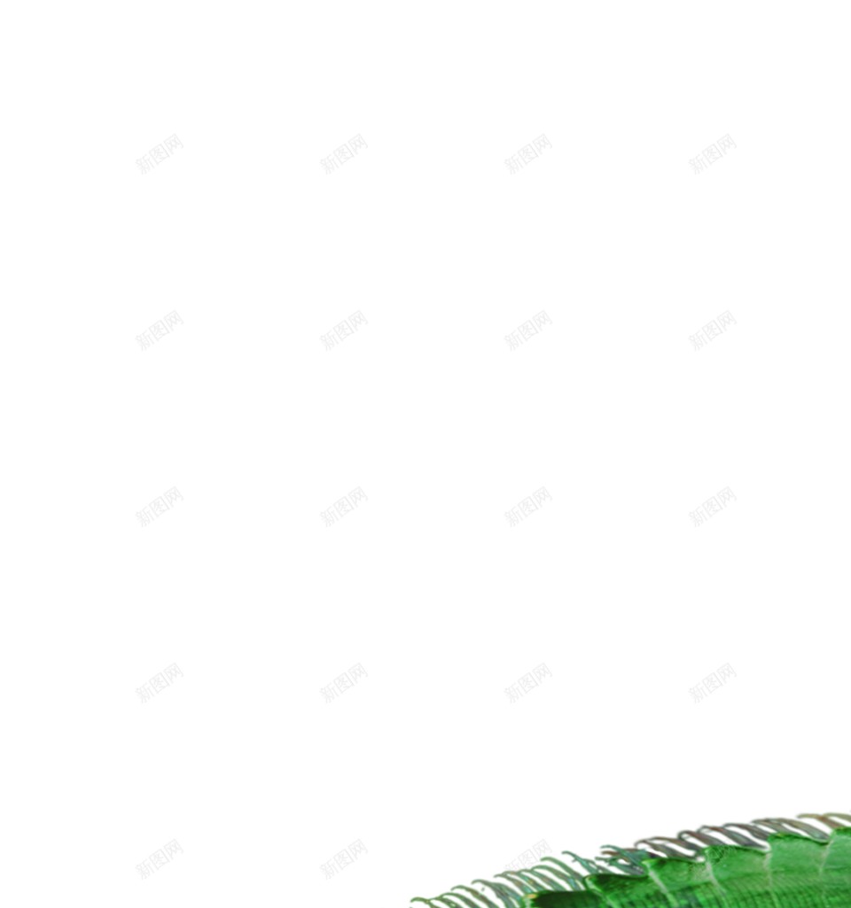 蜥蜴png免抠素材_新图网 https://ixintu.com 蜥蜴