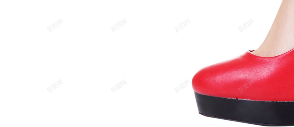 腿动物的腿png免抠素材_新图网 https://ixintu.com 动物的腿 腿