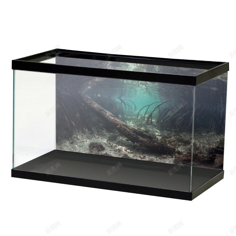 养鱼缸水族玻璃槽png免抠素材_新图网 https://ixintu.com 养鱼缸 水族玻璃槽