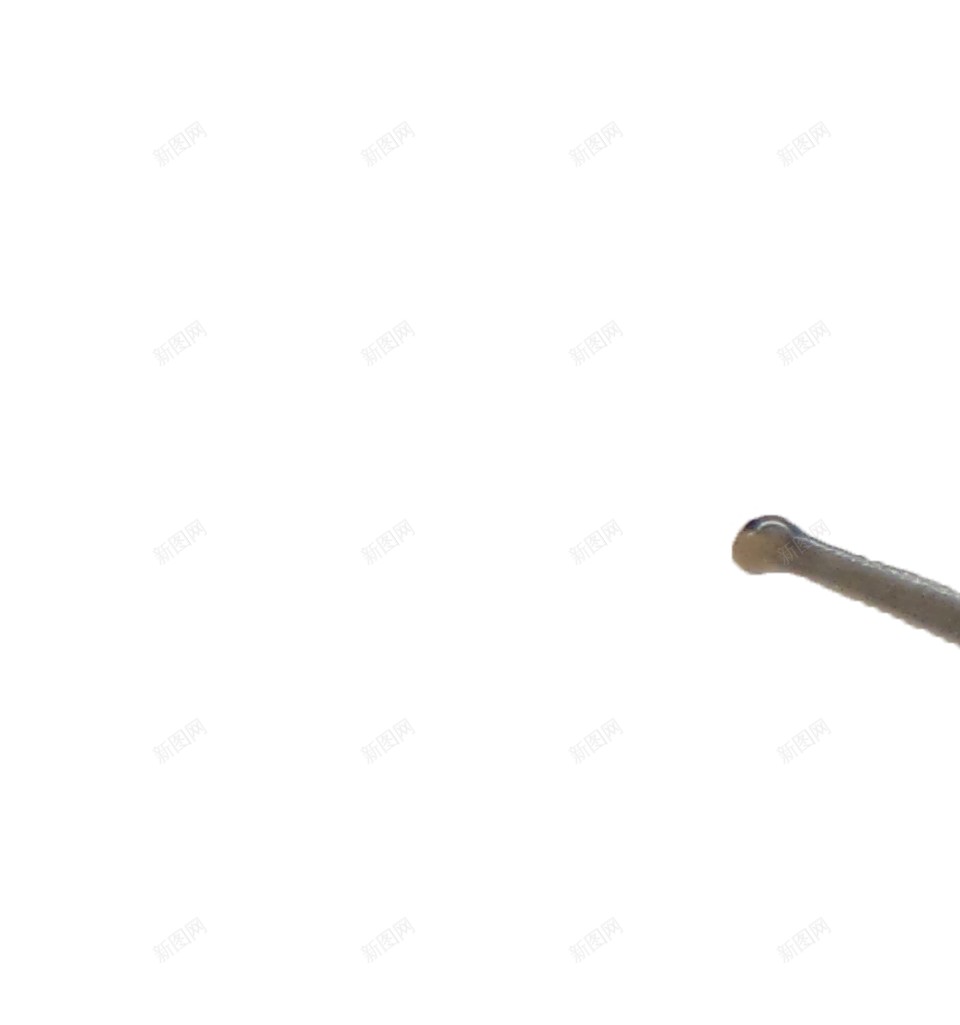 蜗牛snail的复数png免抠素材_新图网 https://ixintu.com snail的复数 蜗牛