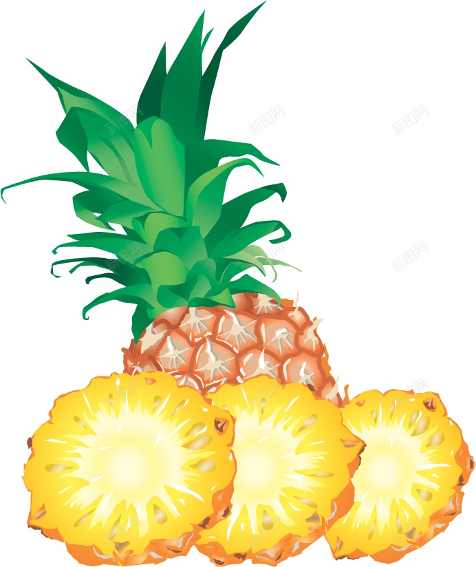 菠萝凤梨png免抠素材_新图网 https://ixintu.com 凤梨 菠萝