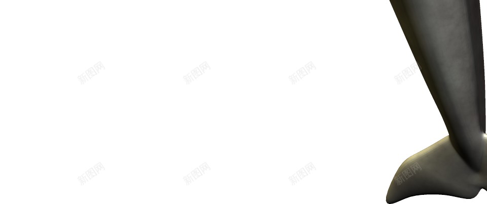 海豚png免抠素材_新图网 https://ixintu.com 海豚