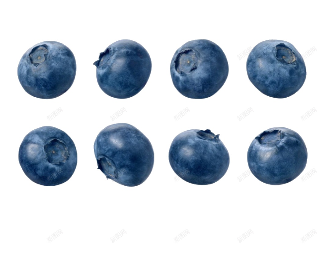 越橘蓝色浆果蓝莓blueberry的复数png免抠素材_新图网 https://ixintu.com blueberry的复数 越橘蓝色浆果蓝莓