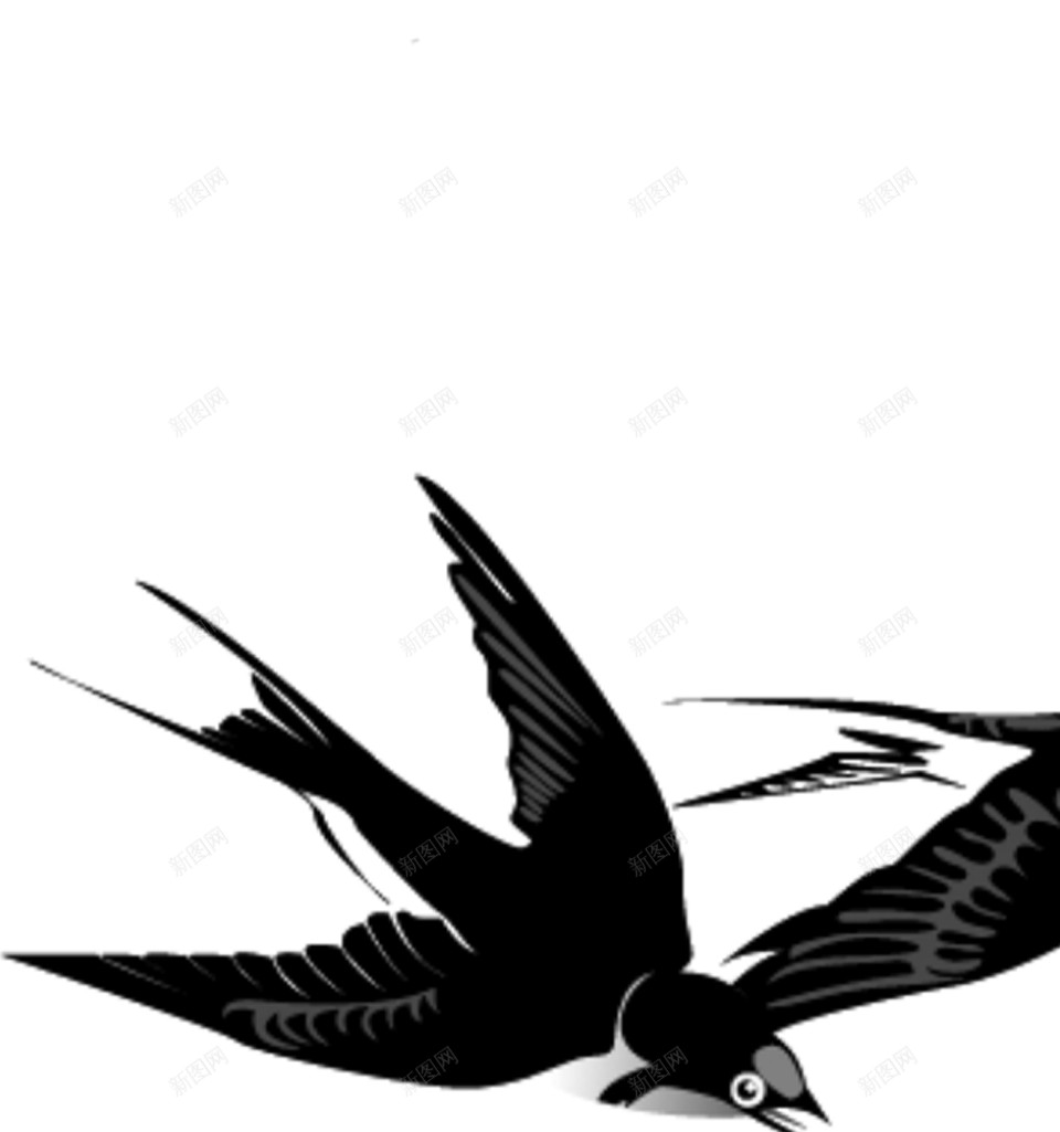 可爱的小燕子png免抠素材_新图网 https://ixintu.com 燕子 小燕子 春天 飞翔 飞行 飞鸟 鸟类