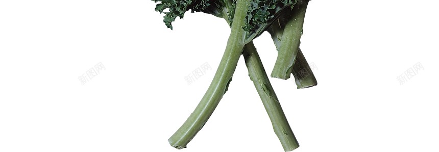 蔬菜色拉蔬菜沙拉png免抠素材_新图网 https://ixintu.com 减肥餐 蔬菜沙拉 蔬菜色拉