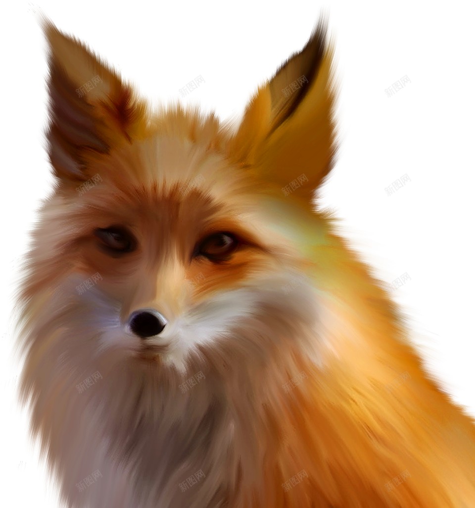 狐狐狸png免抠素材_新图网 https://ixintu.com 狐 狐狸