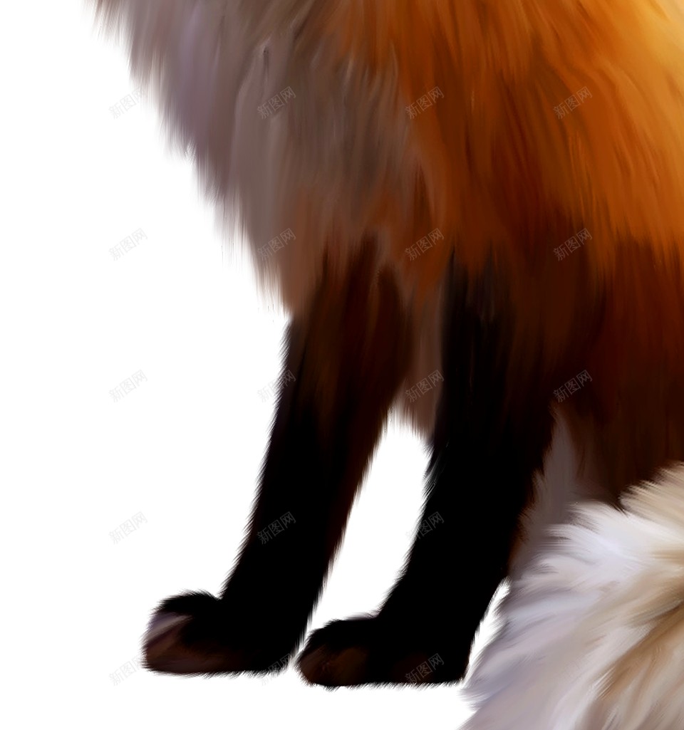 狐狐狸png免抠素材_新图网 https://ixintu.com 狐 狐狸