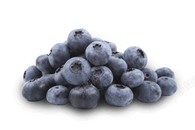 越橘蓝色浆果蓝莓blueberry的复数png免抠素材_新图网 https://ixintu.com blueberry的复数 越橘蓝色浆果蓝莓