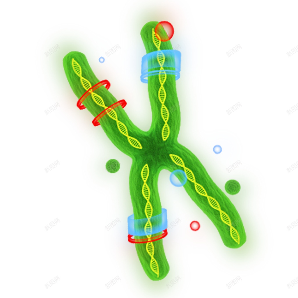 脱氧核糖核酸基因png免抠素材_新图网 https://ixintu.com 基因 脱氧核糖核酸