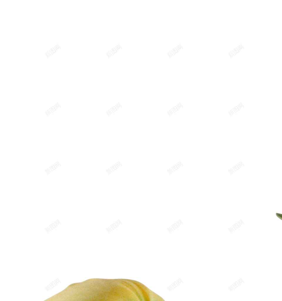 一瓶黄色鲜花装饰图png免抠素材_新图网 https://ixintu.com 鲜花 一束 黄色 花苞 绿叶 渐变黄花瓶 插花 小清新 摆设 美观装饰