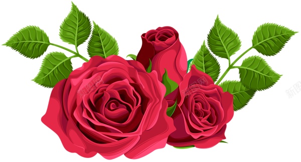 手绘玫瑰花花朵花束鲜花水彩绘画png免抠素材_新图网 https://ixintu.com 玫瑰花 手绘 水彩 绘画 花朵 花束 鲜花