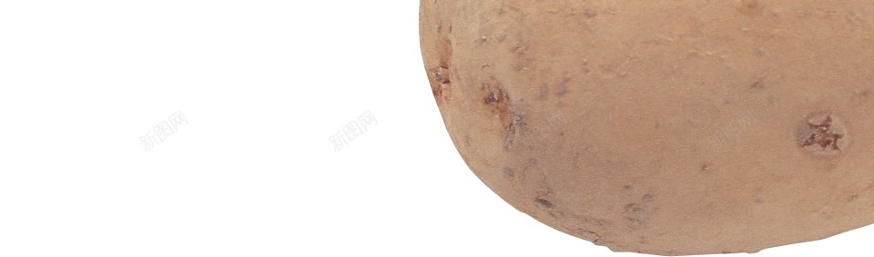 马铃薯土豆png免抠素材_新图网 https://ixintu.com 土豆 马铃薯