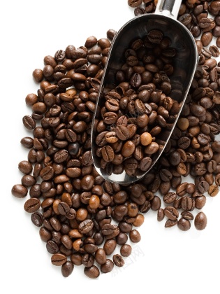 咖啡豆coffeebean的复数png免抠素材_新图网 https://ixintu.com coffeebean的复数 咖啡豆