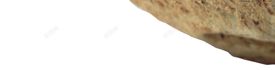 椰子椰子肉椰蓉png免抠素材_新图网 https://ixintu.com 椰子 椰子肉椰蓉