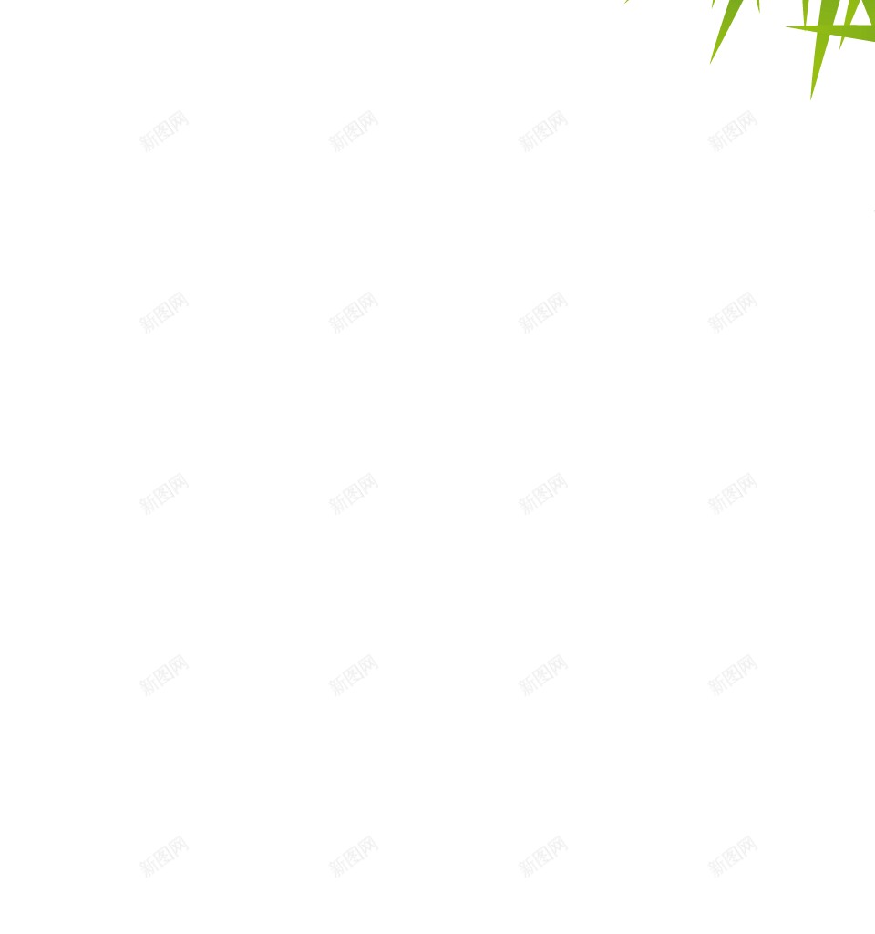 枞树冷杉png免抠素材_新图网 https://ixintu.com 冷杉 枞树