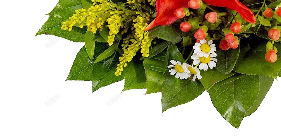 一束花png免抠素材_新图网 https://ixintu.com 一束花
