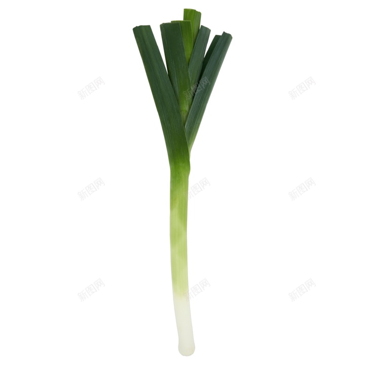 新鲜的青蒜青蒜苗蒜苔图片png免抠素材_新图网 https://ixintu.com 青蒜 青蒜苗 新鲜 蒜苔 蒜苗 蔬菜