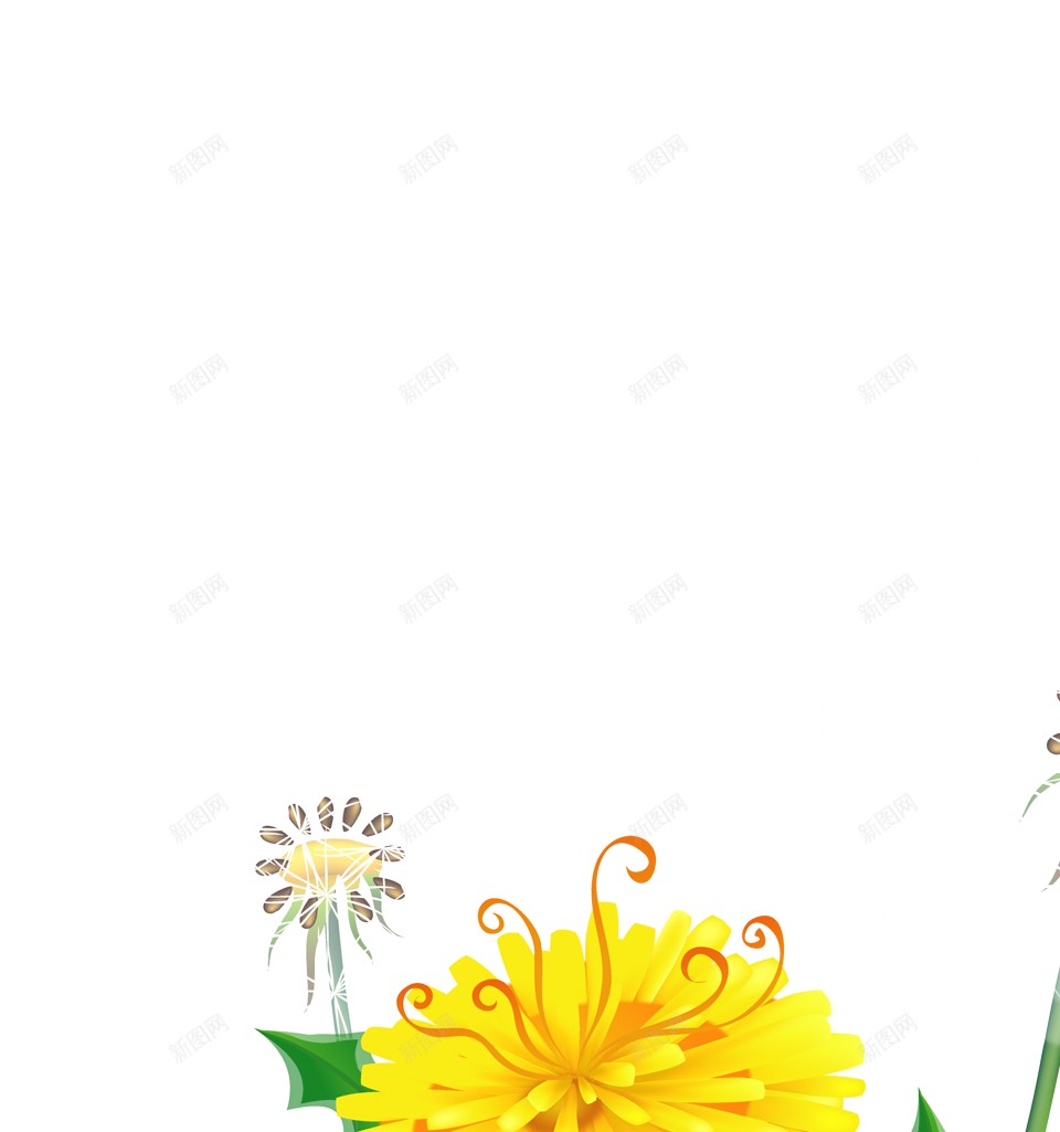 蒲公英png免抠素材_新图网 https://ixintu.com 蒲公英