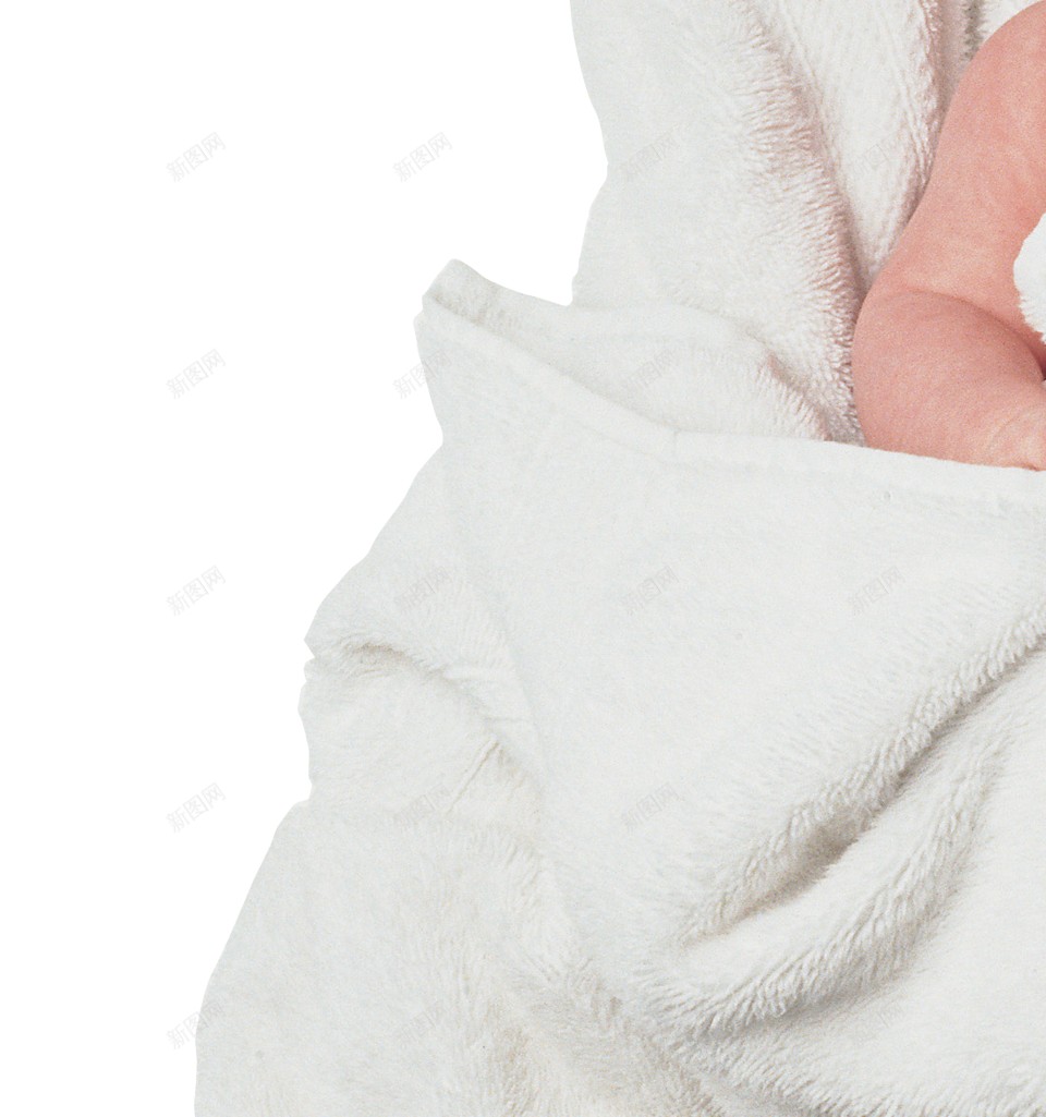 婴儿动物幼崽png免抠素材_新图网 https://ixintu.com 动物幼崽 婴儿