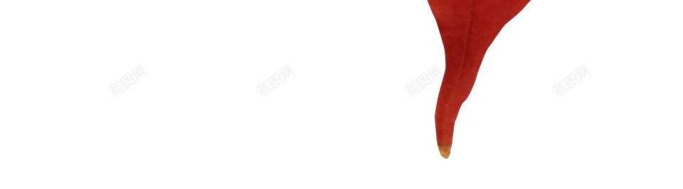 秋季的枫叶png免抠素材_新图网 https://ixintu.com 水彩枫叶 落叶 黄色枫叶 中秋 枫叶 秋天 秋季 落叶 金秋