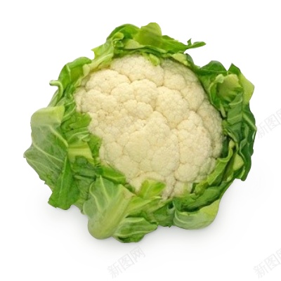 花椰菜菜花png免抠素材_新图网 https://ixintu.com 花椰菜 菜花