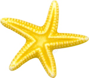 海星星鱼png免抠素材_新图网 https://ixintu.com 星鱼 海星