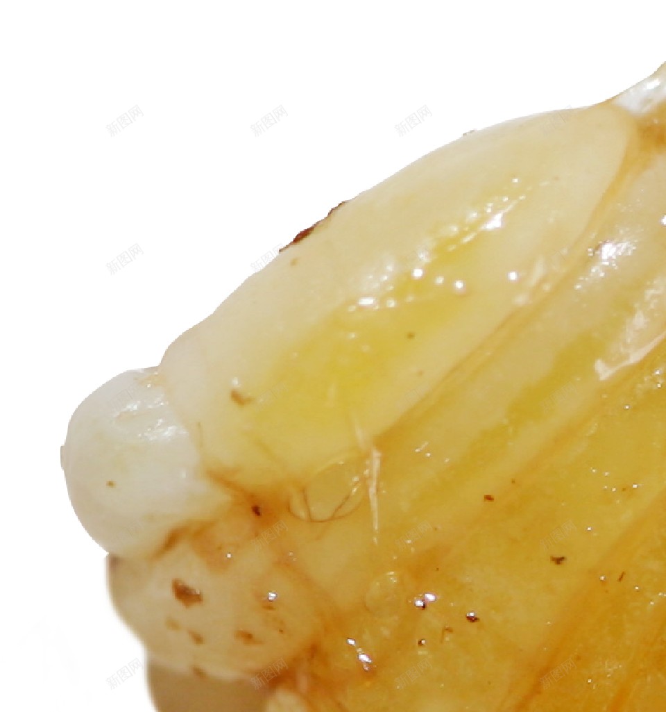 蛆maggot的复数png免抠素材_新图网 https://ixintu.com maggot的复数 蛆