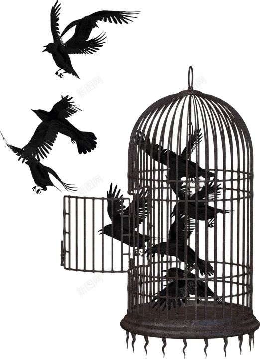 扑克牌打扑克纸牌娱乐png免抠素材_新图网 https://ixintu.com 扑克牌 打扑克 纸牌 娱乐