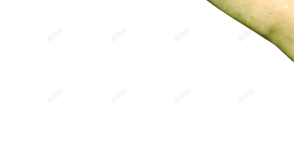 西瓜png免抠素材_新图网 https://ixintu.com 西瓜