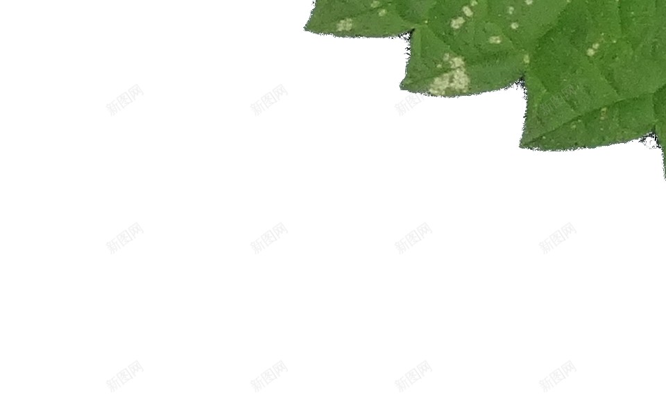 荨麻使烦恼png免抠素材_新图网 https://ixintu.com 使烦恼 荨麻