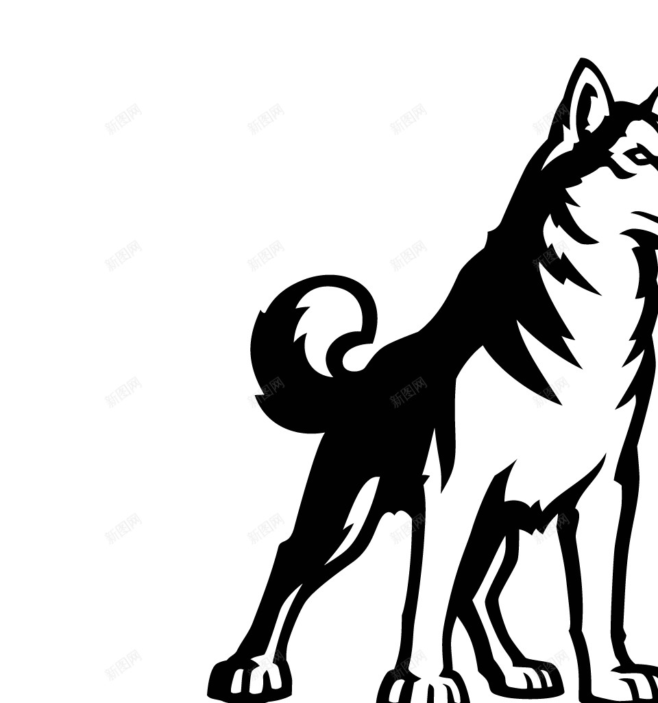 哈士奇宠物狗狗实拍图png免抠素材_新图网 https://ixintu.com 哈士奇 狗狗 犬 可爱 动物 实拍 宠物 忠诚 小狗