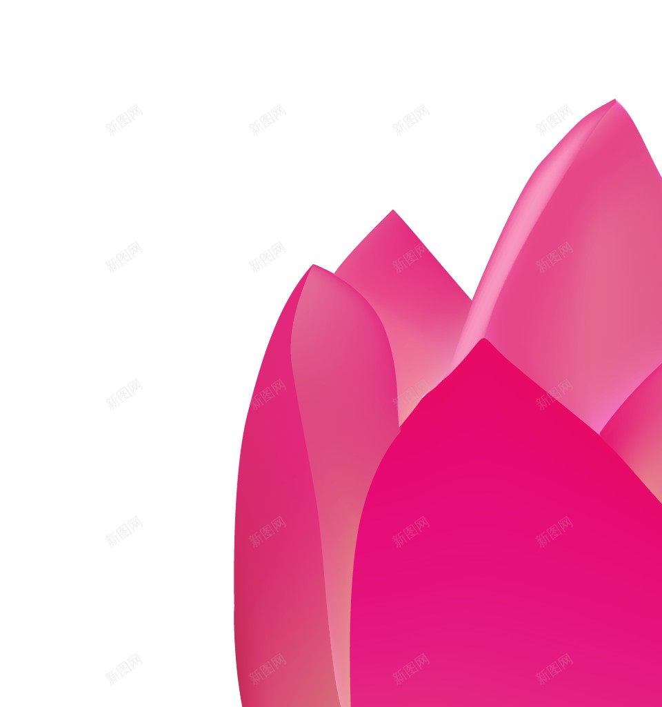 手绘粉红色莲花图案png免抠素材_新图网 https://ixintu.com 卡通 可爱 夏天 夏季 精美绘画 池塘 花苞 荷花 莲花 纯洁 插画