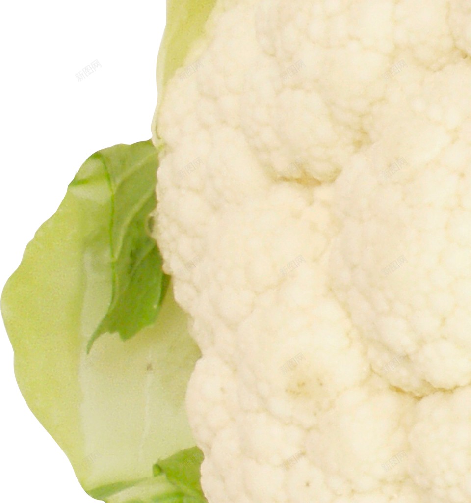 新鲜的蔬菜白花菜图片png免抠素材_新图网 https://ixintu.com 白花菜 十字花科蔬菜 新鲜的 菜花 食物