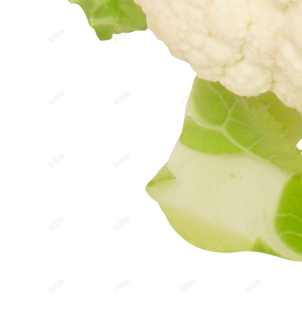 新鲜的蔬菜白花菜图片png免抠素材_新图网 https://ixintu.com 白花菜 十字花科蔬菜 新鲜的 菜花 食物