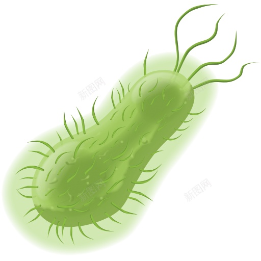 细菌bacterium的复数png免抠素材_新图网 https://ixintu.com bacterium的复数 细菌