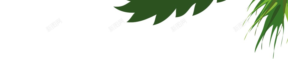 枞树冷杉png免抠素材_新图网 https://ixintu.com 冷杉 枞树