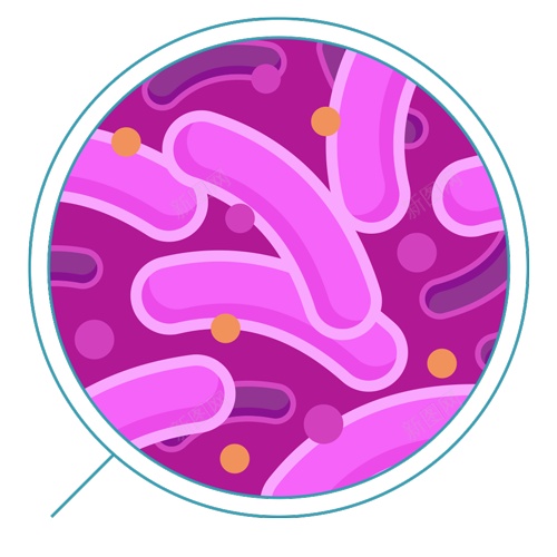 细菌bacterium的复数png免抠素材_新图网 https://ixintu.com bacterium的复数 细菌