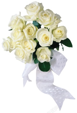 白玫瑰白色玫瑰素材