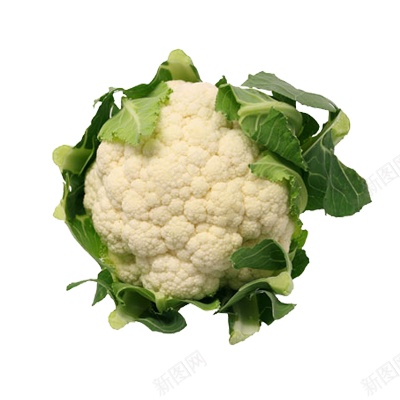 花椰菜菜花png免抠素材_新图网 https://ixintu.com 花椰菜 菜花