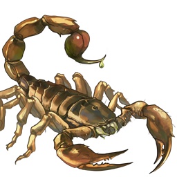 蝎子scorpion的复数png免抠素材_新图网 https://ixintu.com scorpion的复数 蝎子