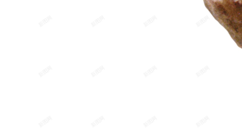 开心果阿月浑子png免抠素材_新图网 https://ixintu.com 开心果 阿月浑子