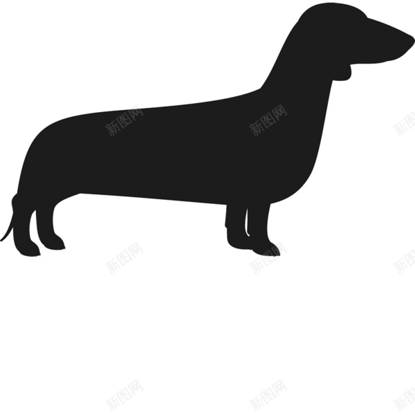 猎獾狗腊肠狗png免抠素材_新图网 https://ixintu.com 猎獾狗腊肠狗
